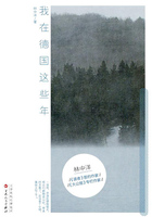 我在德国这些年在线阅读