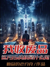 我收廢品，這F35戰機是什么鬼