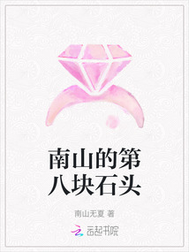 南山的第八塊石頭