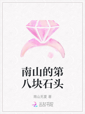 南山的第八块石头在线阅读