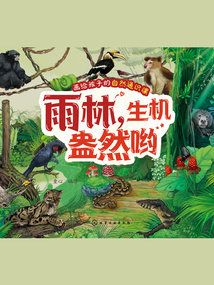 畫給孩子的自然通識課:雨林,生機盎然喲