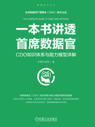 一本书讲透首席数据官:CDO知识体系与能力模型详解在线阅读