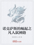 诺克萨斯的崛起之凡人弑神路在线阅读