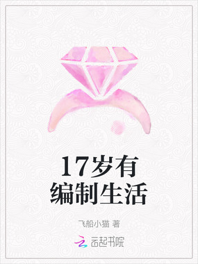 17岁有编制生活在线阅读