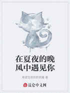 在夏夜的晚風中遇見你在線閱讀