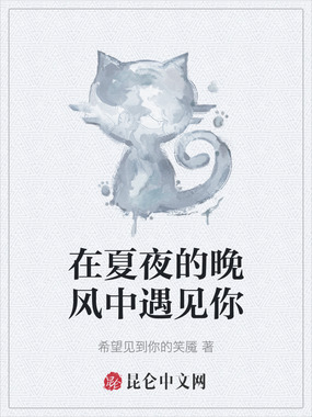 在夏夜的晚风中遇见你在线阅读