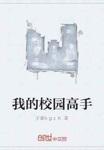 我的校园高手