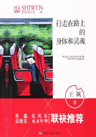 行走在路上的身体和灵魂在线阅读