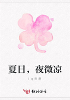 夏日，夜微涼在線閱讀