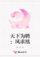 天下為聘：鳳求凰在線閱讀
