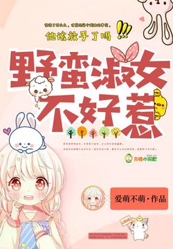 野蛮淑女不好惹 封面