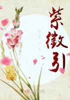 紫征引在線閱讀