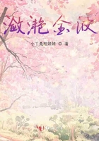 瀲滟金波在線閱讀