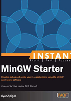 INSTANT MinGW Starter在线阅读