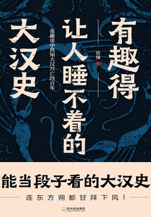 有趣得讓人睡不著的大漢史