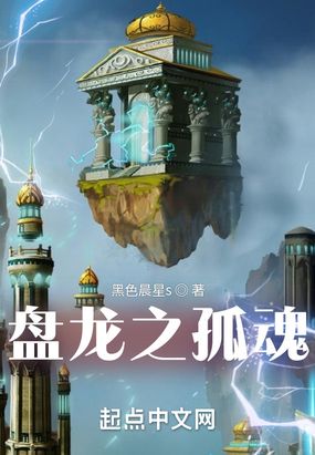 盘龙之孤魂在线阅读