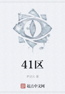 41區