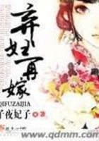 棄婦再嫁在線閱讀