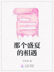 那個(gè)盛夏的相遇