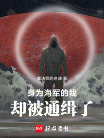 身為海軍的我卻被通緝了