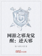 网游之邪龙觉醒:逆天邪在线阅读