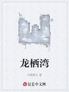 龙栖湾在线阅读