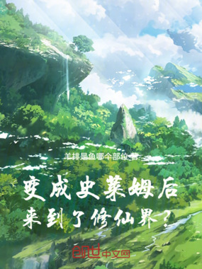 变成史莱姆后来到了修仙界?在线阅读