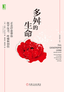 多舛的生命:正念療愈幫你撫平壓力、疼痛和創傷(原書第2版)