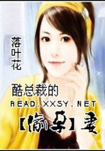 完美愛人：撲倒酷總裁
