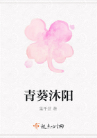 青葵沐阳在线阅读