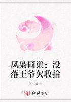 凤枭同巢:没落王爷欠收拾在线阅读