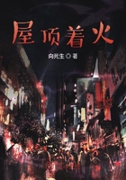 屋頂著火在線閱讀