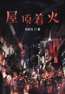 屋頂著火