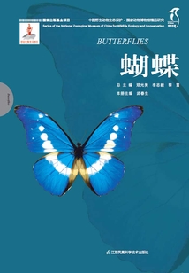 國家動物博物館精品研究:蝴蝶