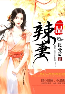 一品辣妻