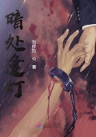 暗處逢燈在線閱讀