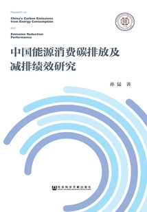 中國能源消費碳排放及減排績效研究