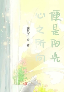 心之所向，便是陽光
