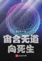 宙合无道:向死生