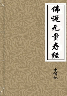 佛说无量寿经