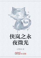 俠嵐之永夜微光在線閱讀