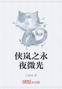 俠嵐之永夜微光
