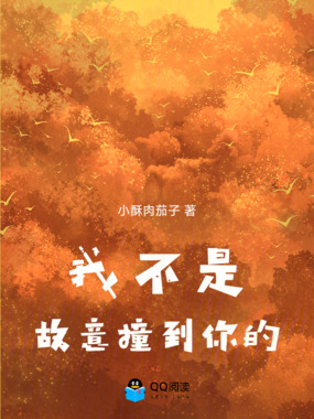 我不是故意撞到你的在线阅读