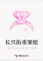 長興街重案組在線閱讀