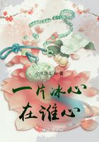 一片冰心在谁心在线阅读