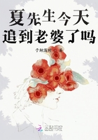 夏先生今天追到老婆了嗎在線閱讀