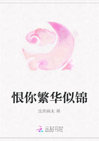 恨你繁華似錦在線閱讀