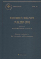 细胞编程与重编程的表观遗传机制