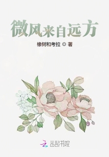 微风来自远方