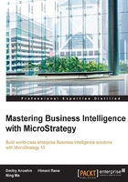 Mastering Business Intelligence with MicroStrategy在线阅读